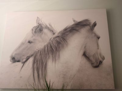Large Black and White Horse Canvas Wall Art Print
