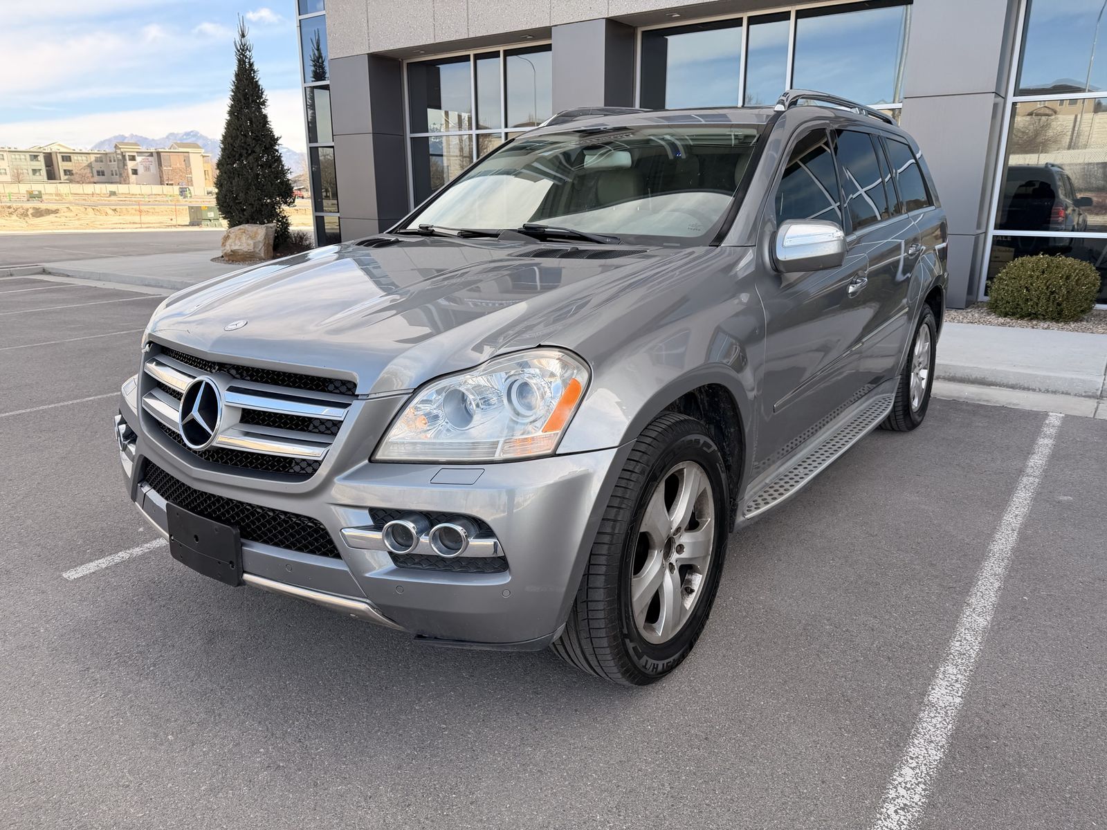 2010 Mercedes-Benz GL-Class GL 450