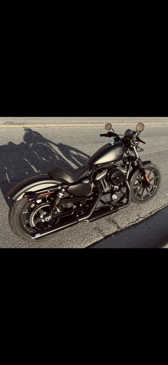 2021 Harley Davidson Iron 883 Sportster