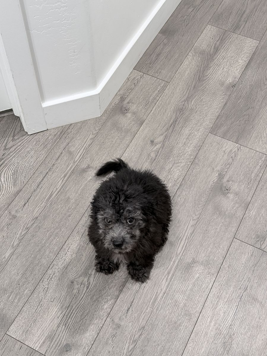 Main image 7