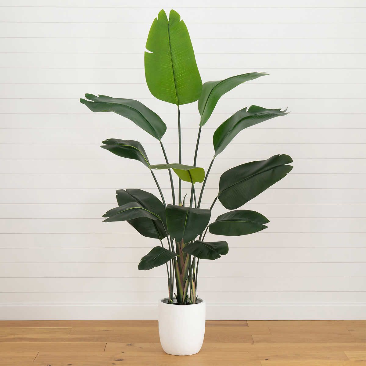 Faux 7' Bird of Paradise Plant 1772631 #96379