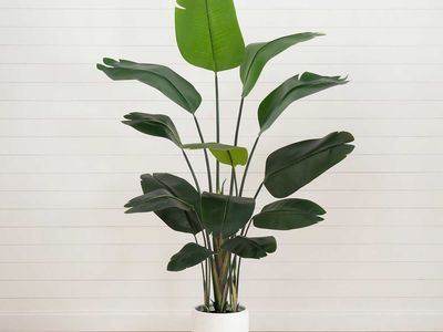 Faux 7' Bird of Paradise Plant 1772631 #96379