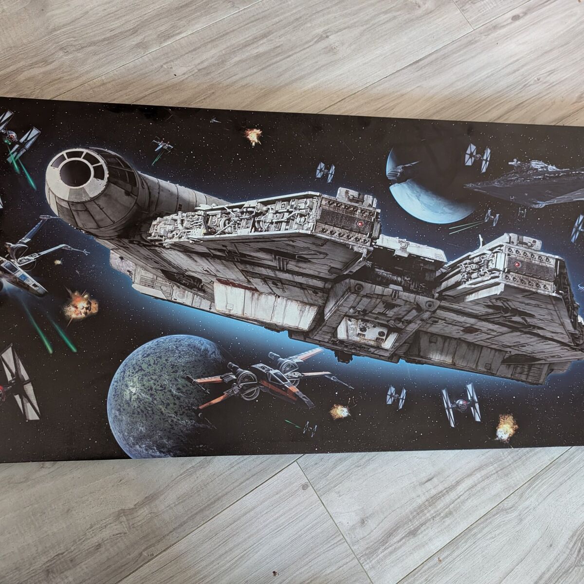 Star Wars Printed Canvas