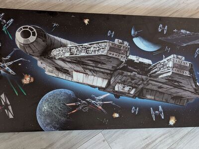 Star Wars Printed Canvas