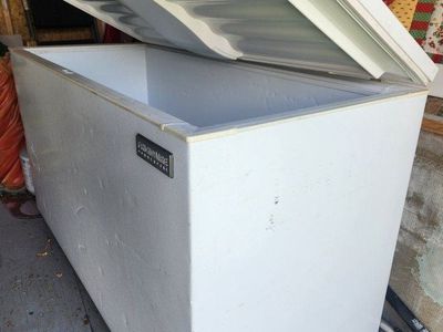 Frigidaire Commercial Chest Freezer