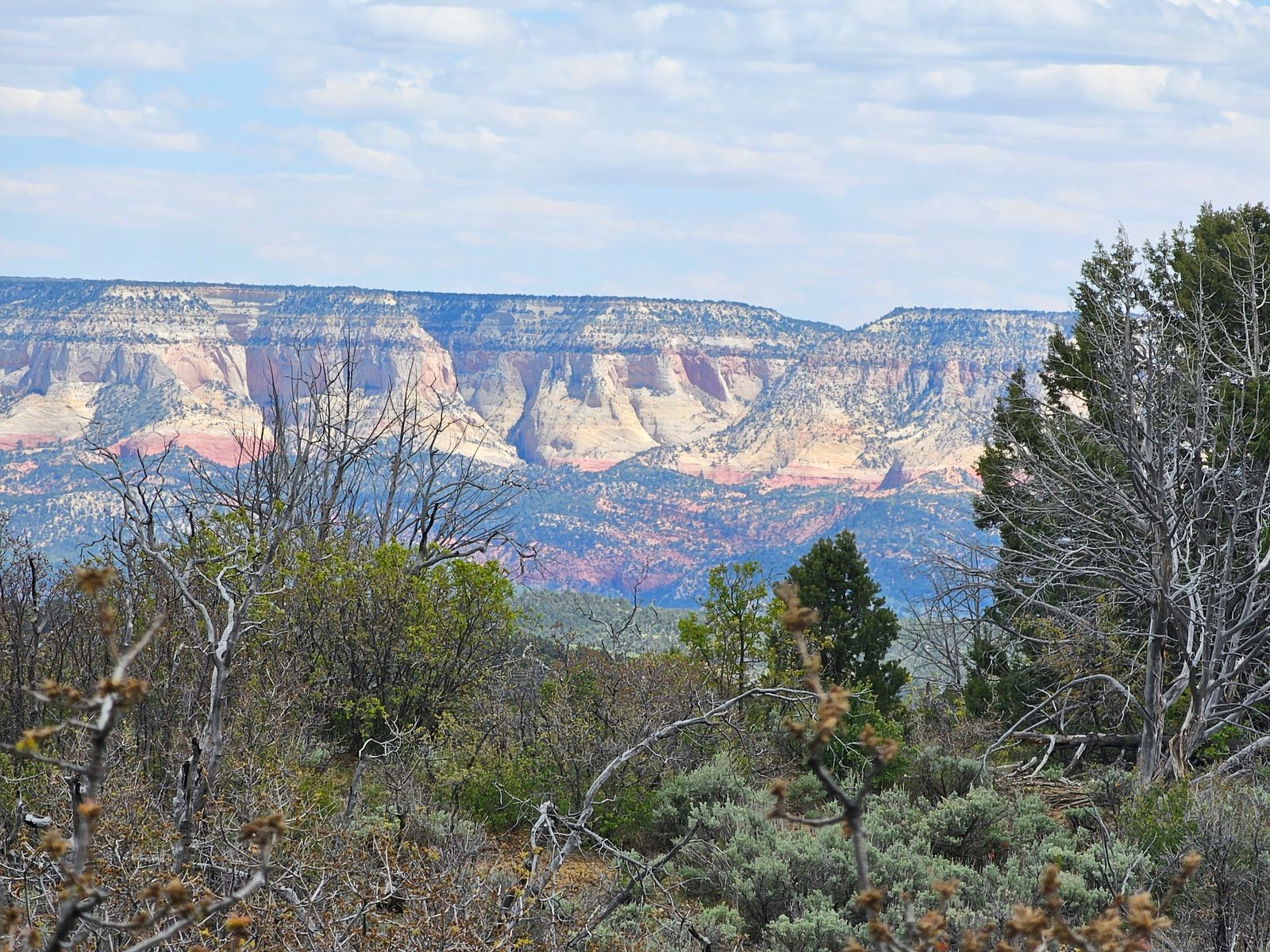 10ac Zions