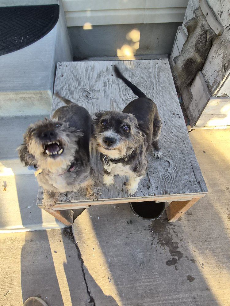 FREE to good home!!
