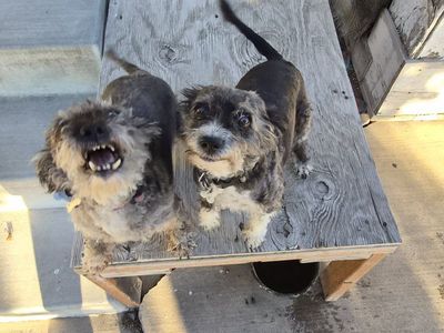 FREE to good home!!