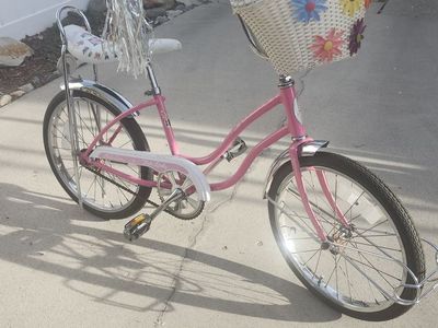 Vintage Schwinn Fair Lady