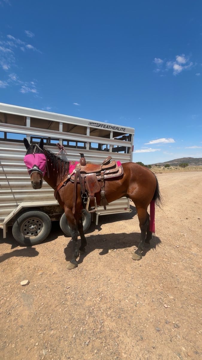 15’ Corriente rope saddle