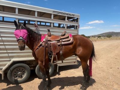 15’ Corriente rope saddle