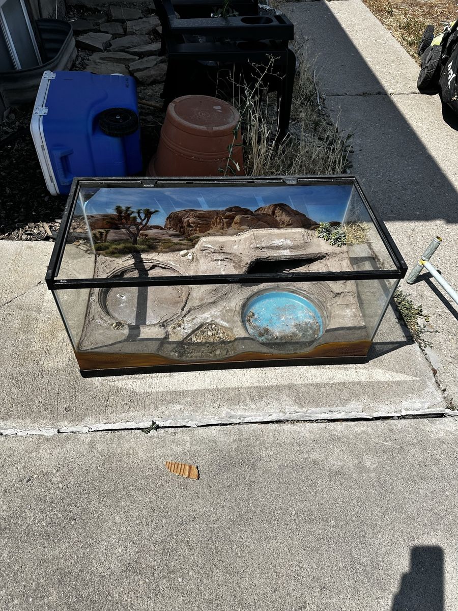 40 gal reptile tank