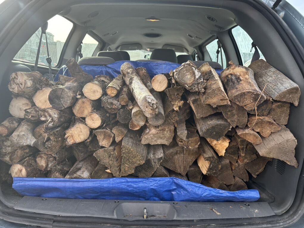 Firewood Bundles $6