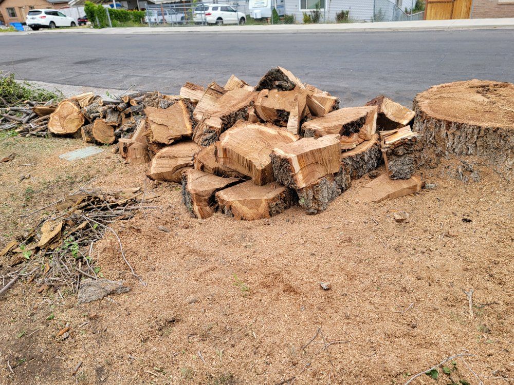 FREE Firewood