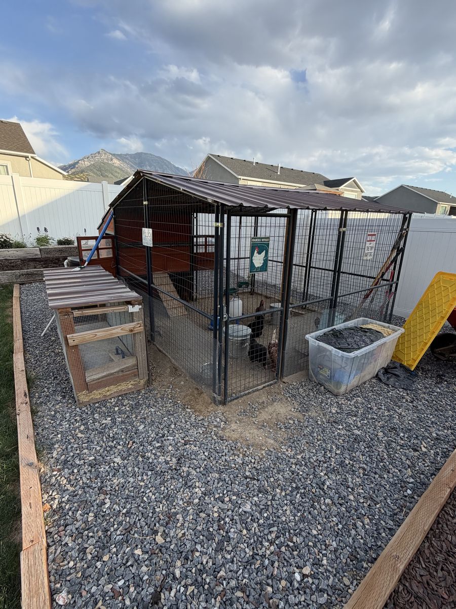 Large Chicken Coop & Run with Small Chick Coop - Includes Cleaning & Food Supplies