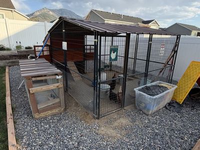 Large Chicken Coop & Run with Small Chick Coop - Includes Cleaning & Food Supplies