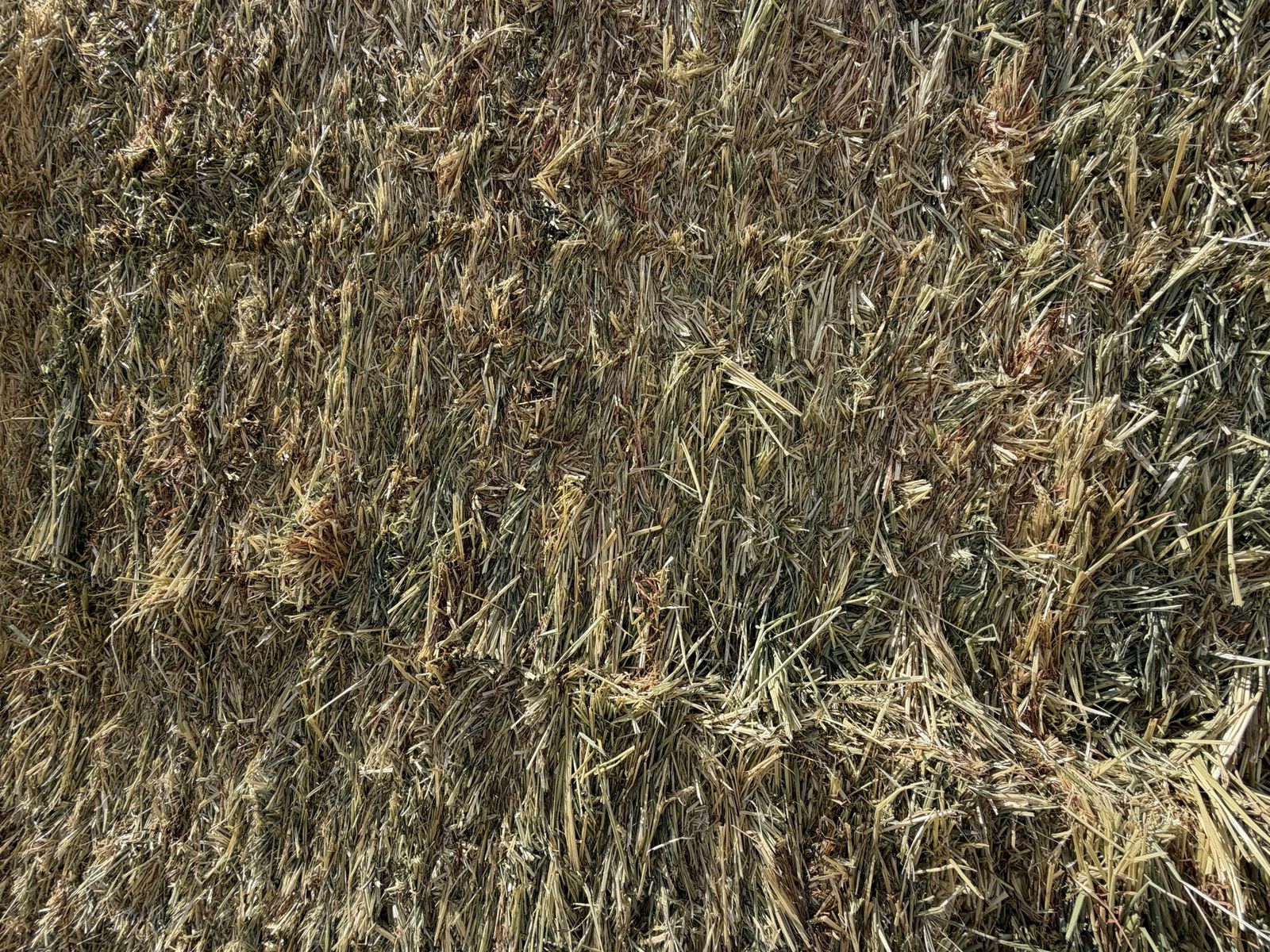 Main image 3