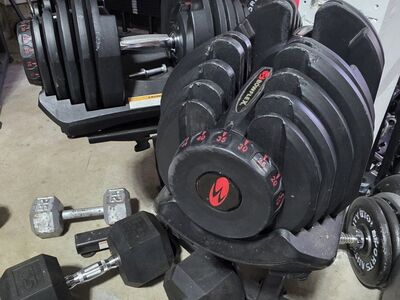 Bowflex 1090 dumbbells with stand