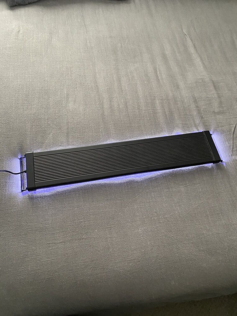 24-30 Inch Fish Light