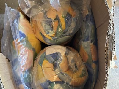 ARTPLAN SLT 18 Outdoor Cushions - 5-Piece Floral Pattern, 19x19x5 inch - New