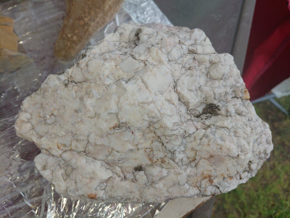 Main image 7