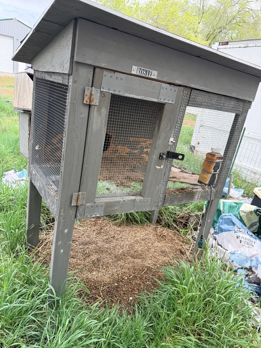 Rabbit Hutch