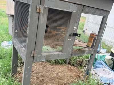 Rabbit Hutch