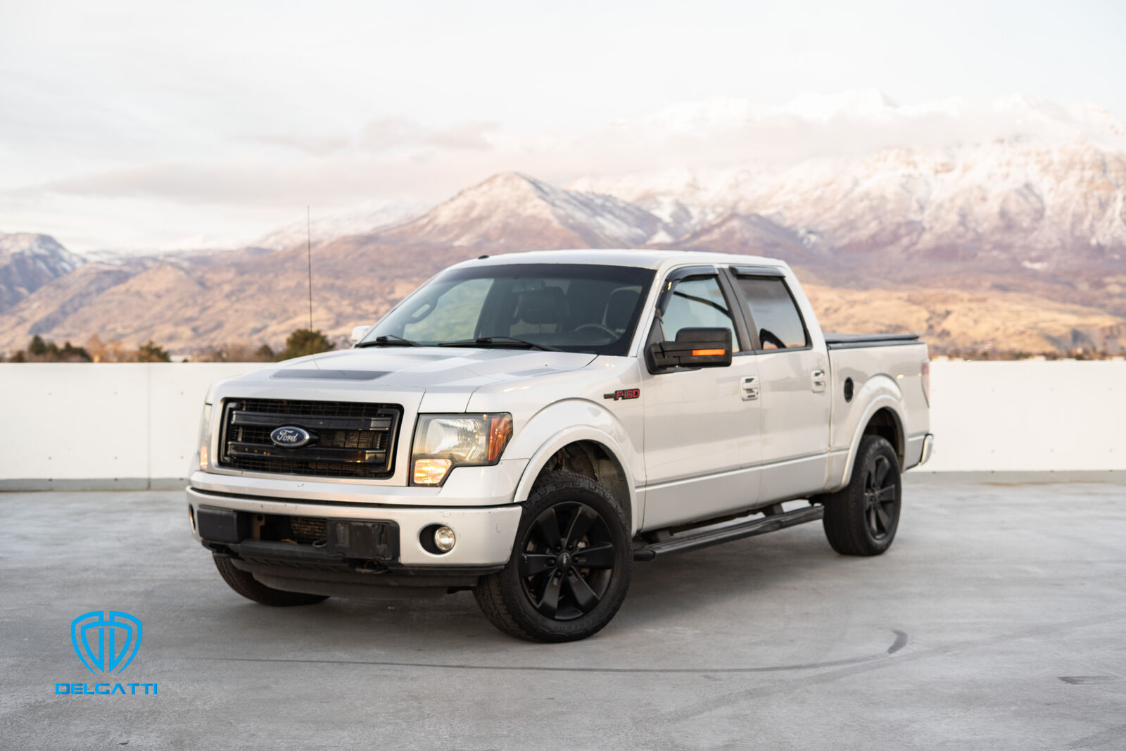 2013 FORD F150 FX4