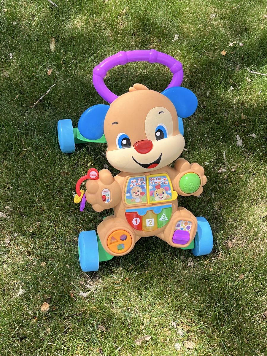 Fisher Price Puppy Walker