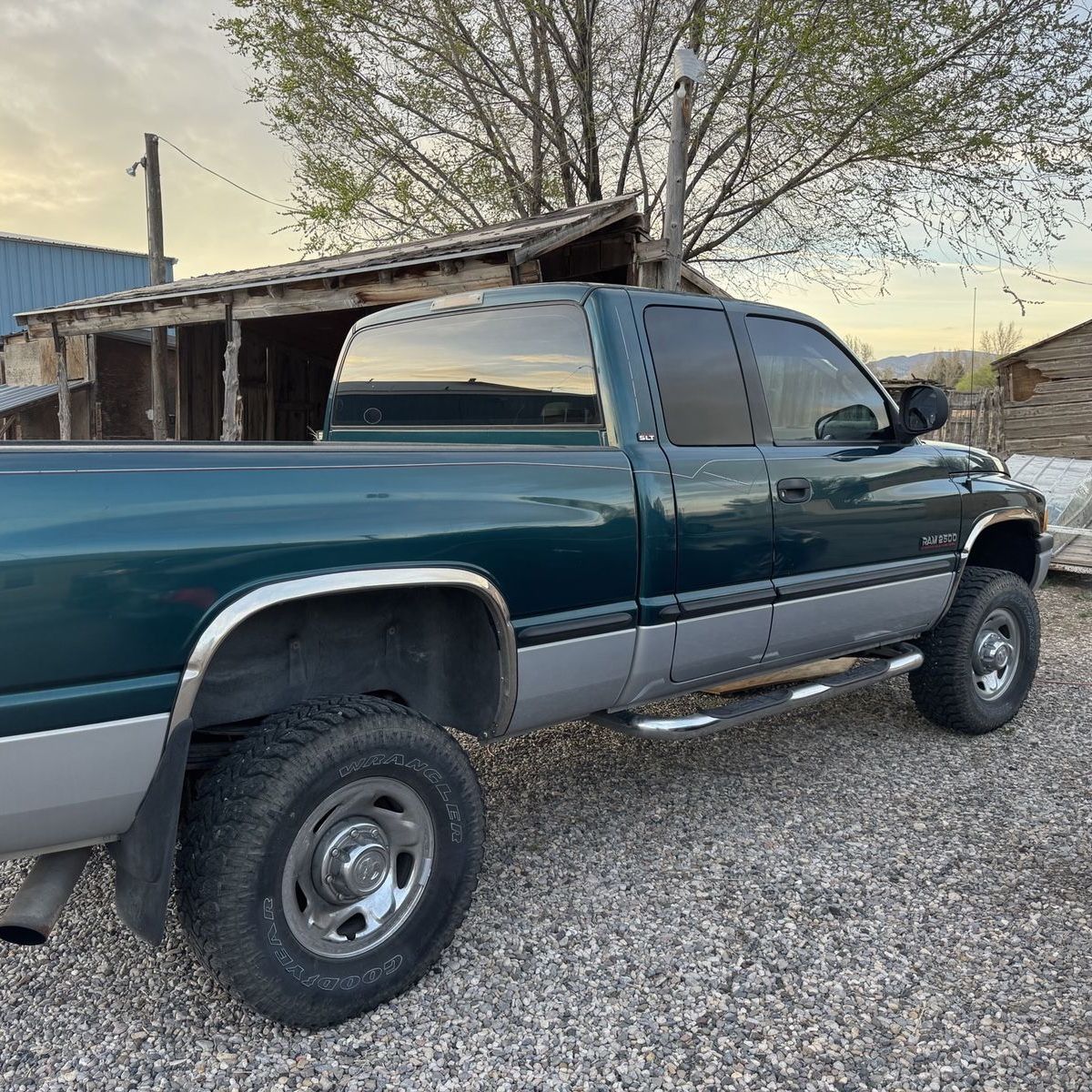 Dodge Stocks