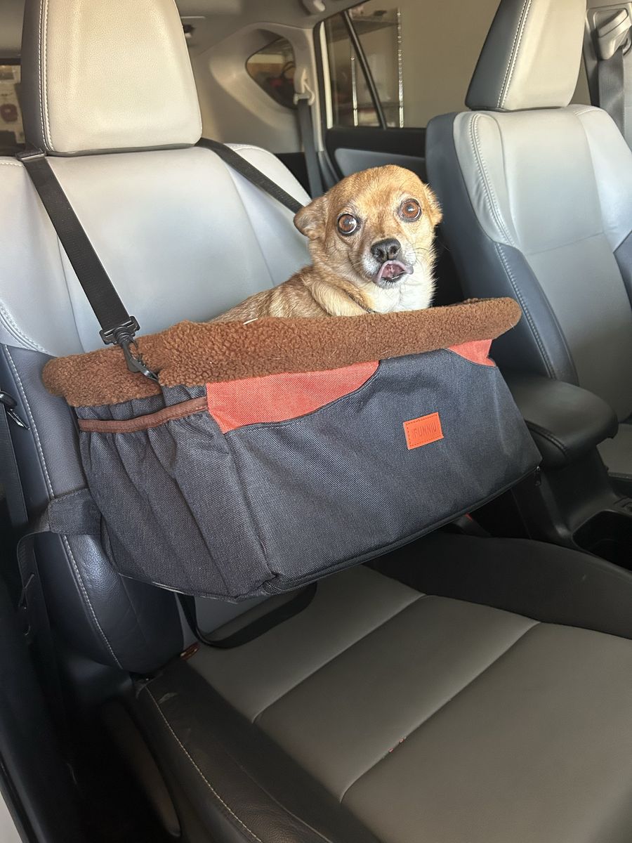 Small dog car seat