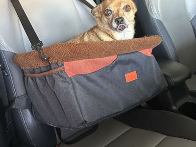 Small dog car seat