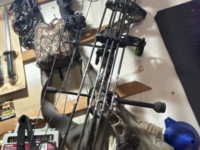 G5 Quest Rogue bow.