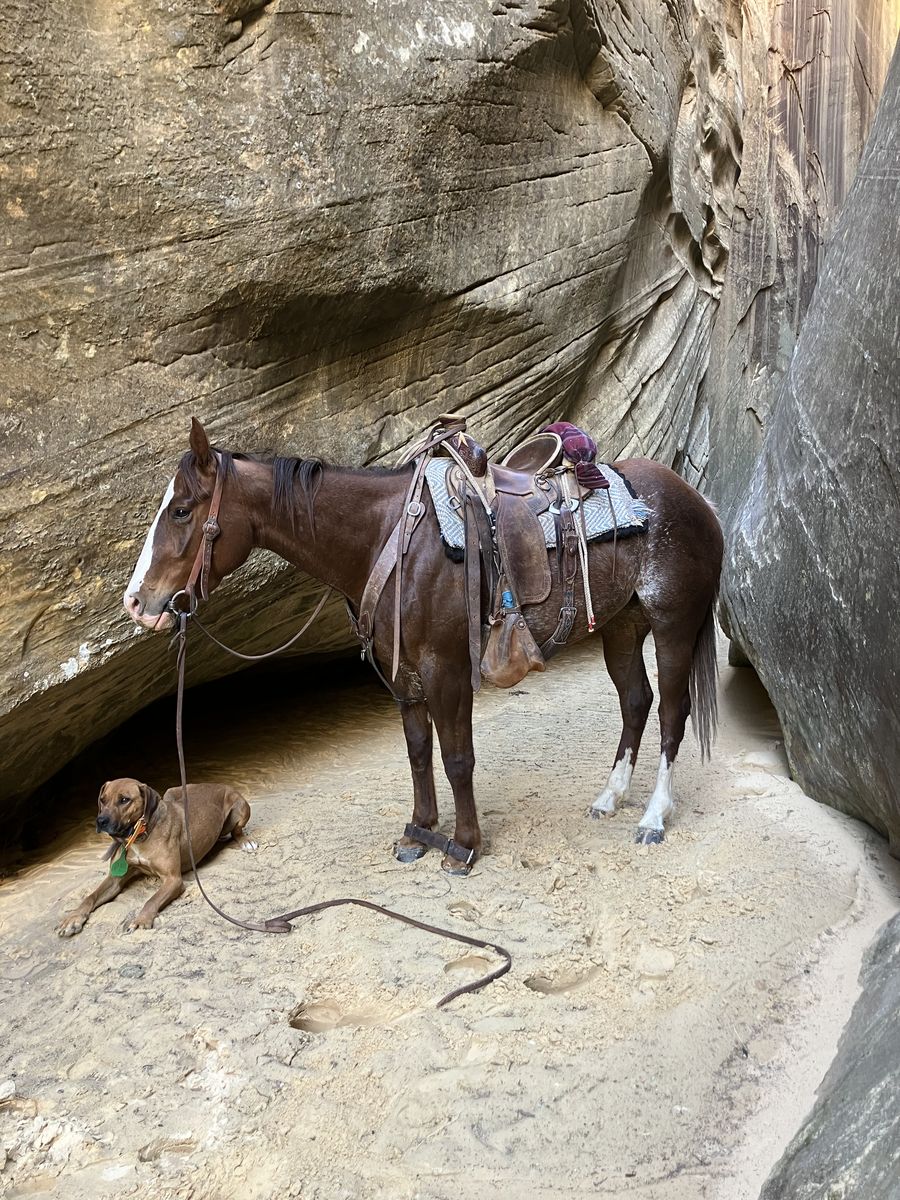 Main image 3