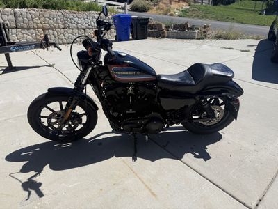 2020 Harley-Davidson XL1200 Black with 7700 miles