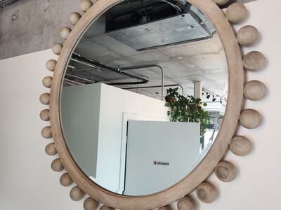 Gorgeous decorative mirror