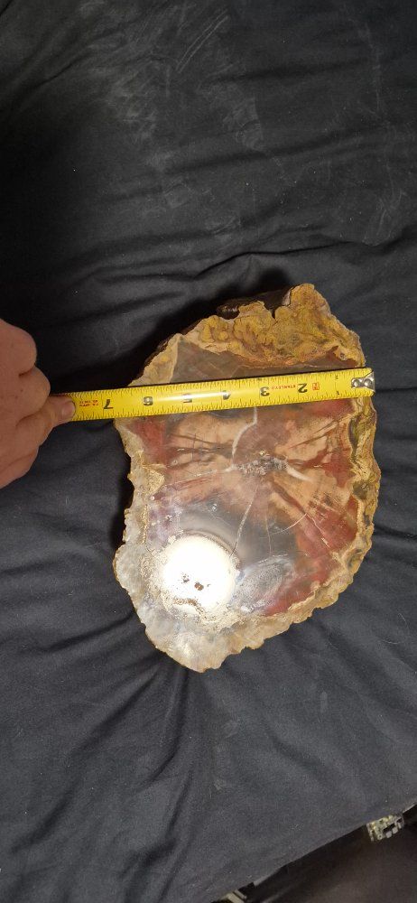 Main image 7