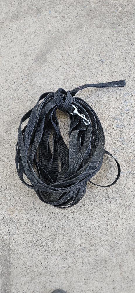 50ft dog training leash