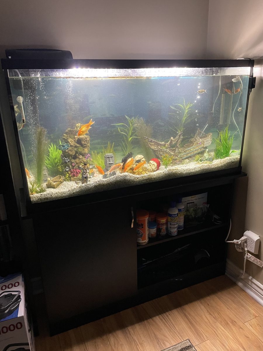 Main image 6