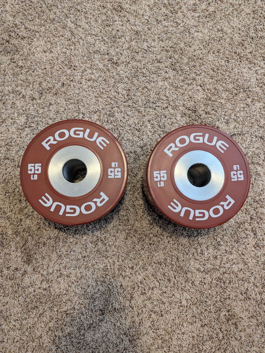 Rogue Fitness Dumbbell Bumpers