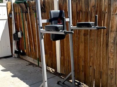 Pull Up Dip Station with Padded Armrests and Backrest