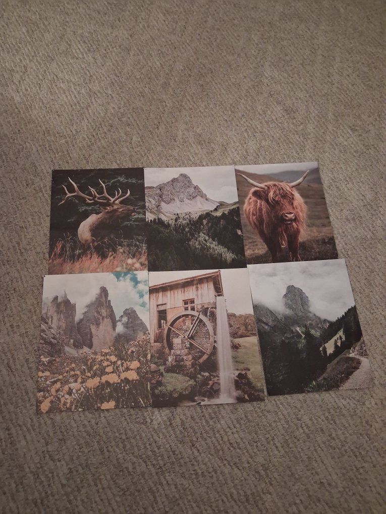 Super cute wall collage