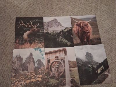 Super cute wall collage