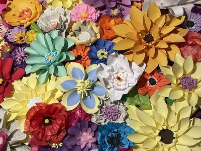 Paper Flower Backdrop for parties or wedding