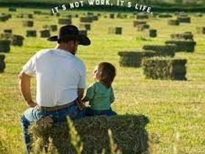 QUALITY ALFALFA