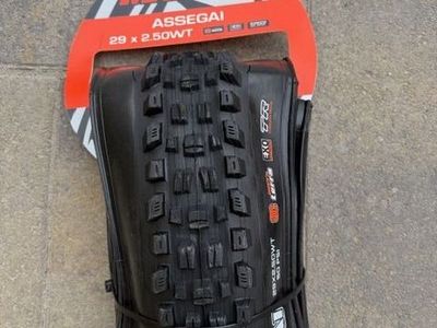 Maxxis Assegai 29x2.5 MaxxTerra