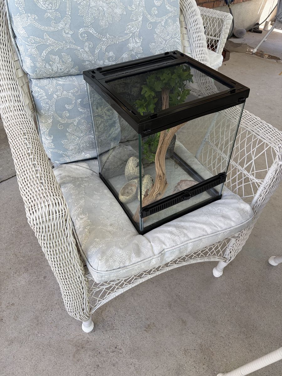 12x12x18 Glass Terrarium with Decor & food