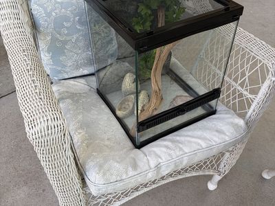 12x12x18 Glass Terrarium with Decor & food