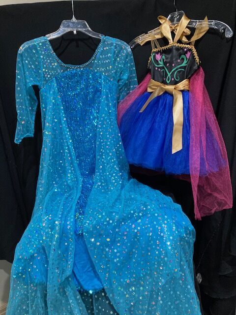 Disney Frozen ELSA and ANNA  Set    Starting at $15