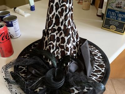 Witches Hat (like new)